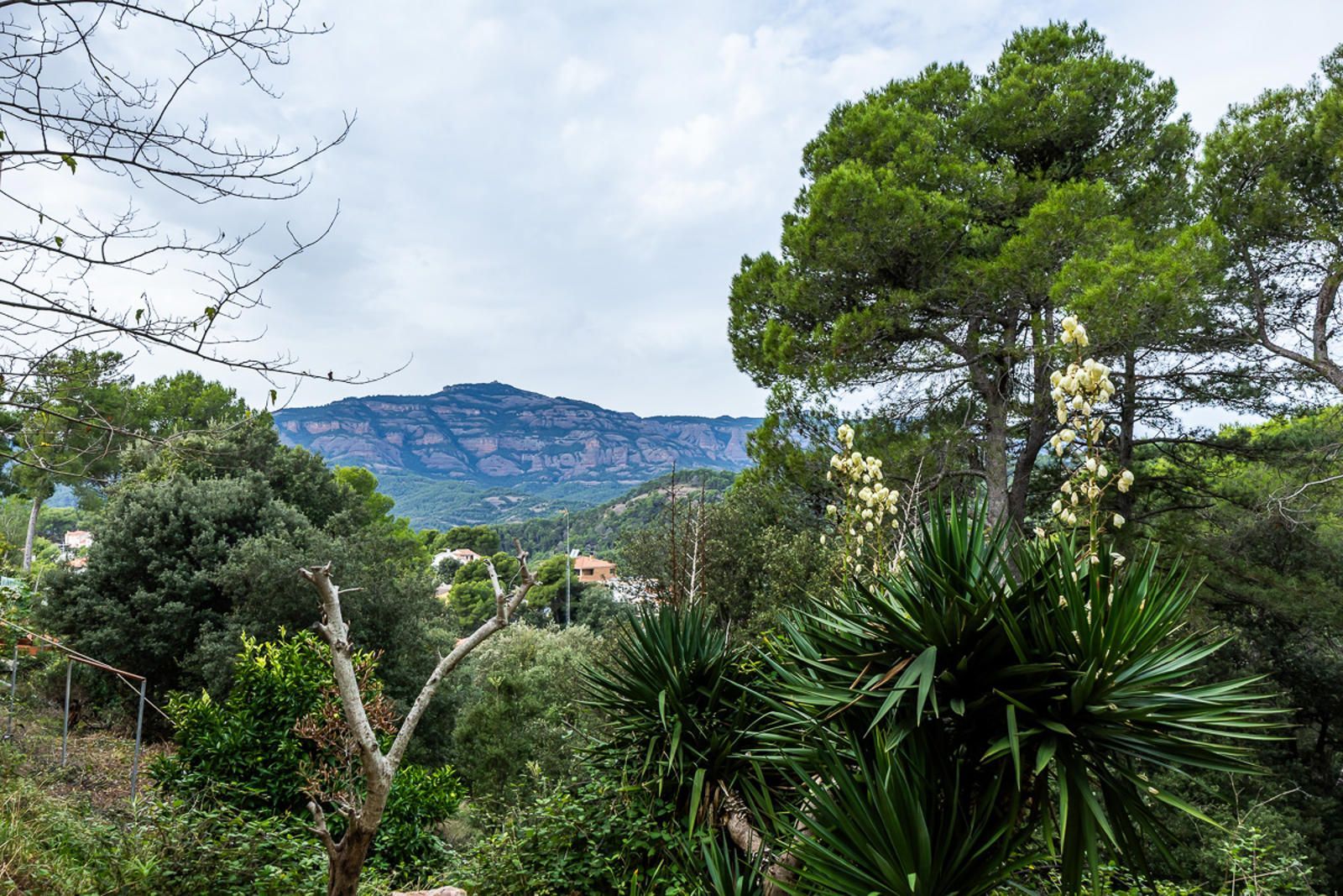 Jardí de Casa o xalet en venda en Castellar del Vallès amb Calefacció, Jardí privat i Terrassa