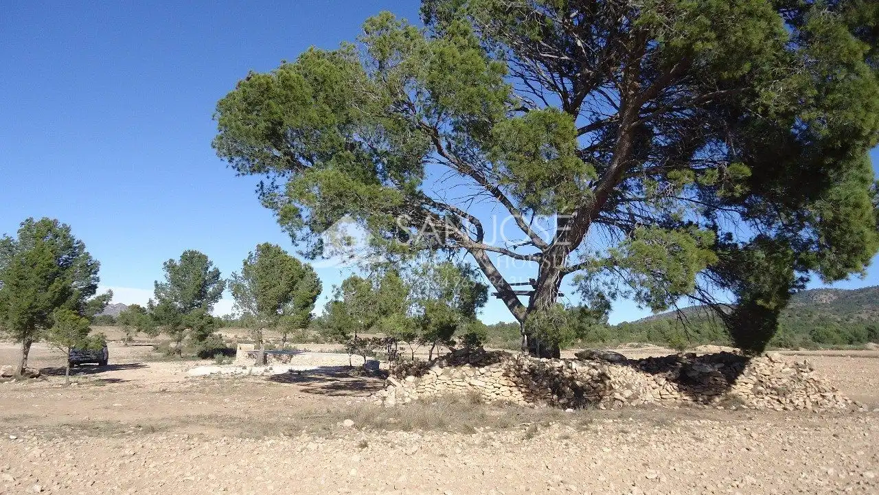 Finca rústica en venda en Yecla