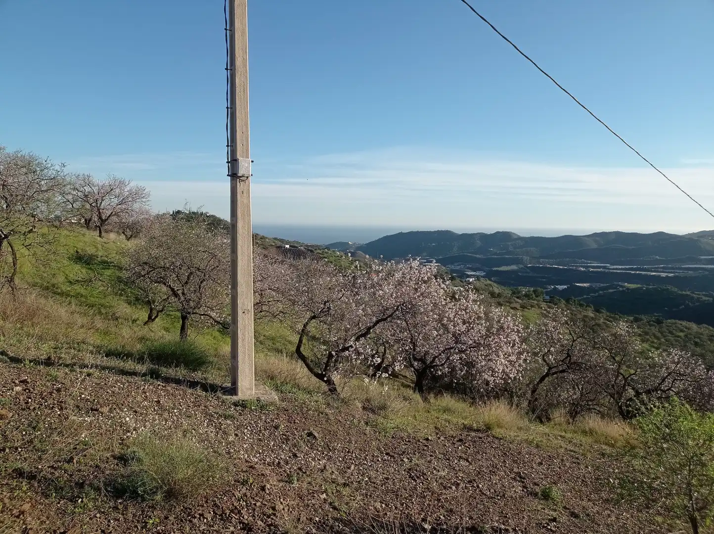Lands and plots for sale in Iznate, imagen 9