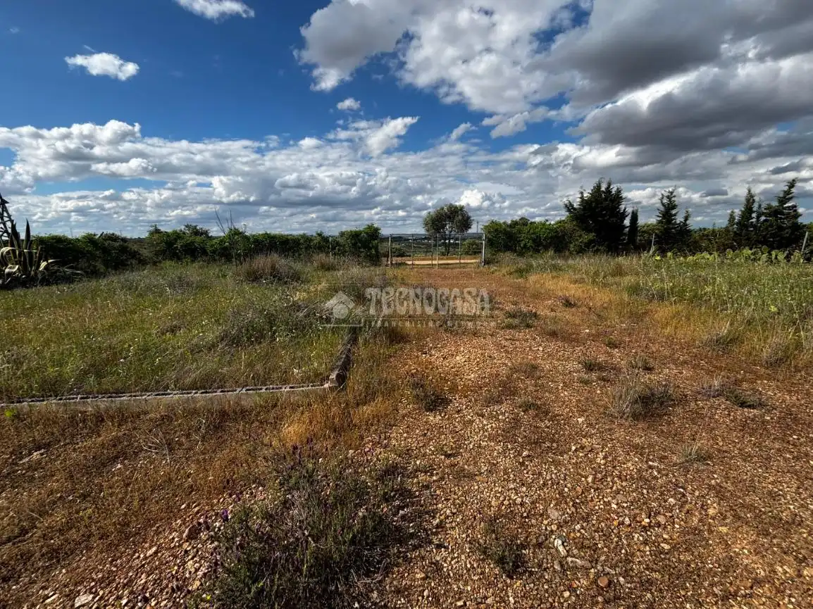 Finca rústica en venta en Carretera de Sevilla - Los Montitos