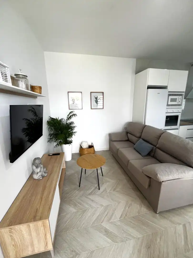 Living room of Houses for rent in Chiclana de la Frontera  with Air Conditioner, Private garden and Terrace