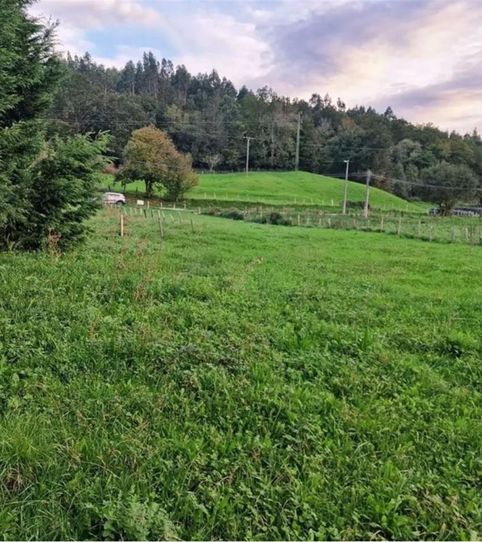 Foto 2 de Finca rústica en venda a Guriezo, Cantabria