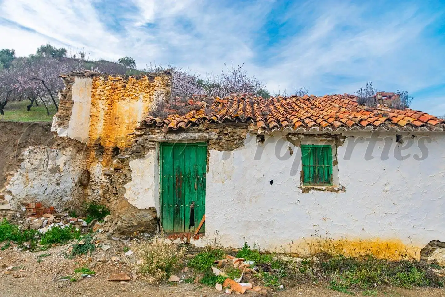 Terreno rustico in vendita a Árchez, imagen 18