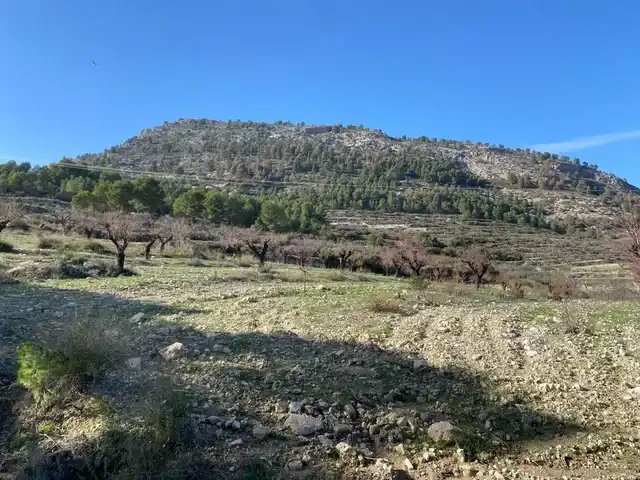 Lands and plots for sale in Mula, imagen 5