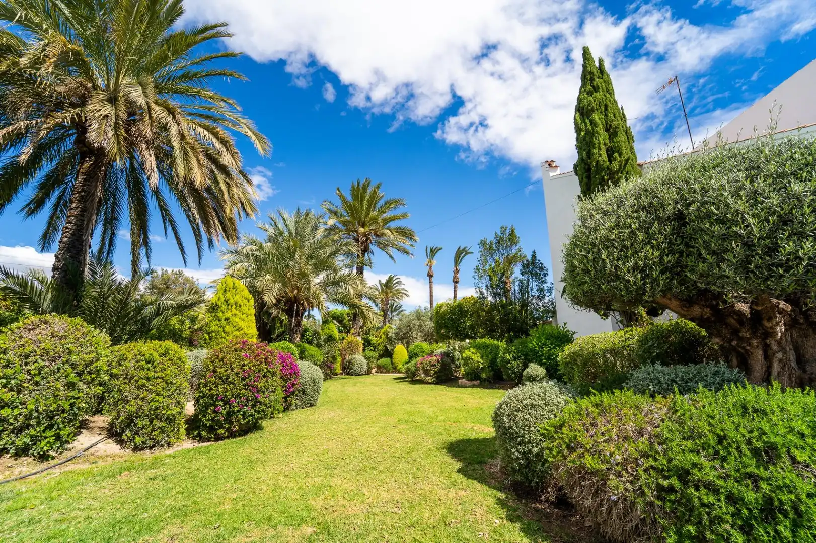 Chalet con piscina en venta en Alzabares, imagen 6
