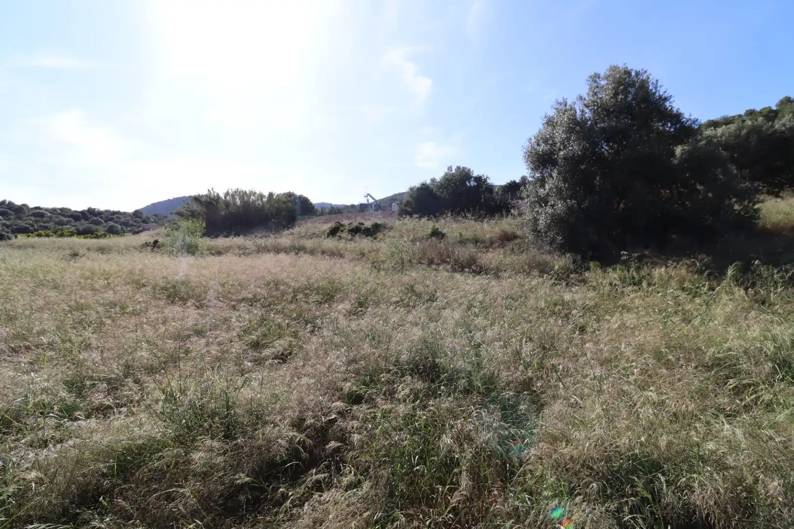 Terreno rústico en venta en Alcanar, imagen 15