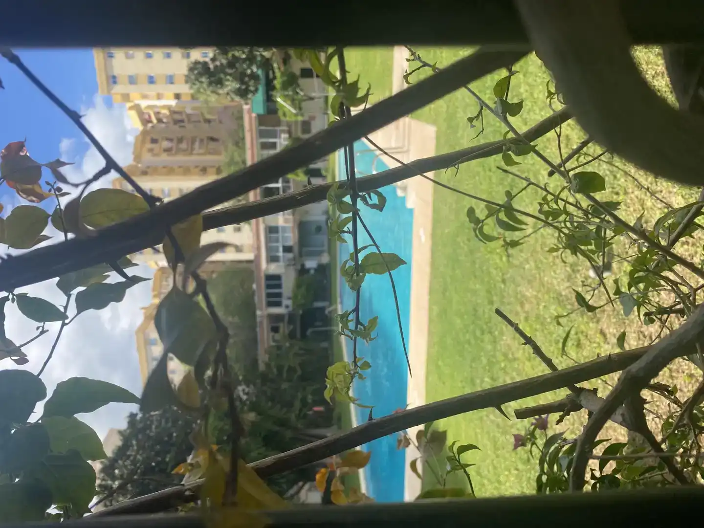 Schwimmbecken von Wohnungen zur Miete in Marbella mit Privatgarten, Schwimmbad und Möbliert