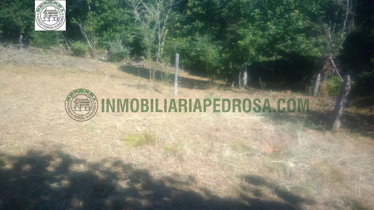 Finca rústica en venta en Campo Lameiro