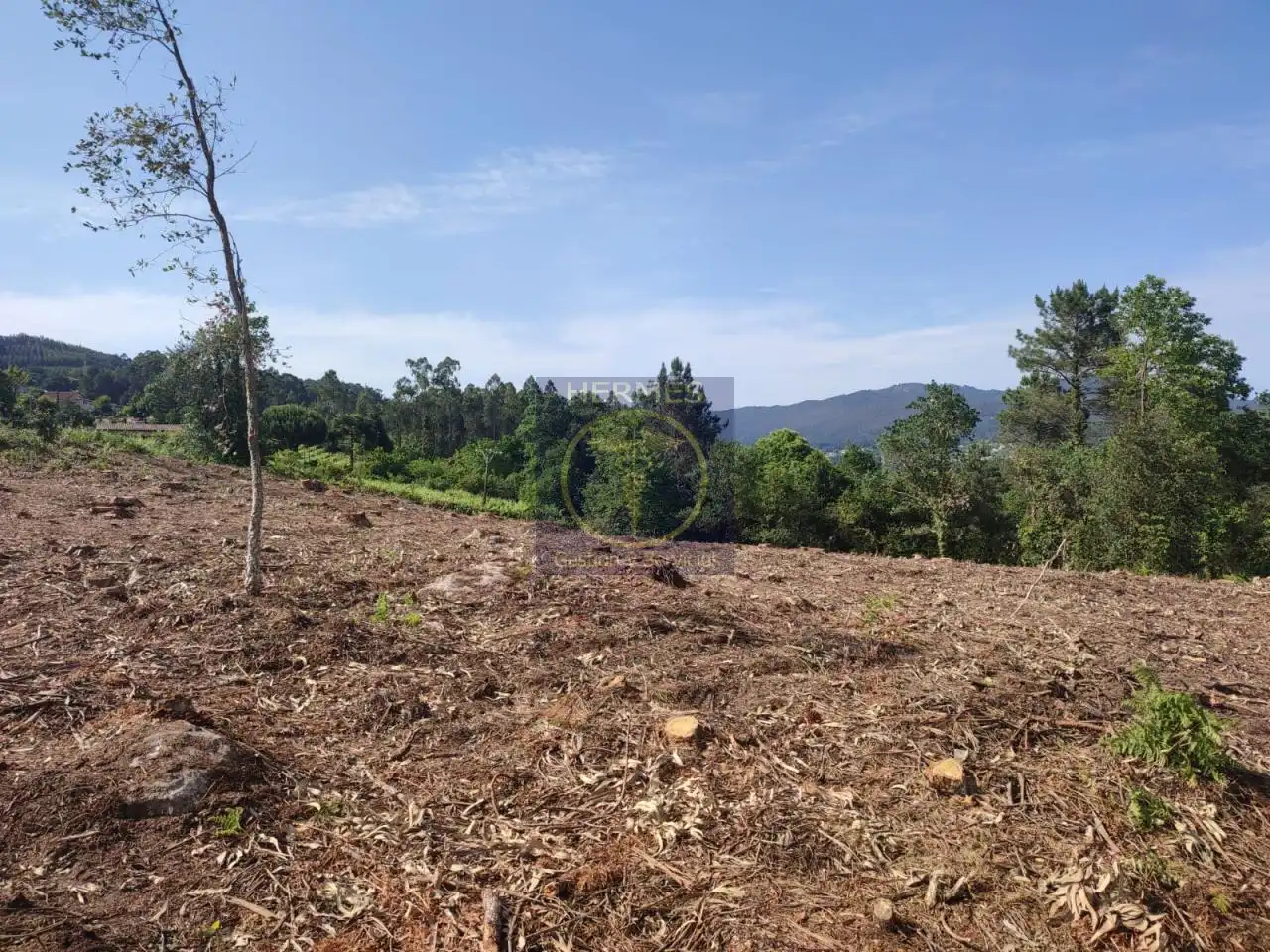 Land for sale in Tui
