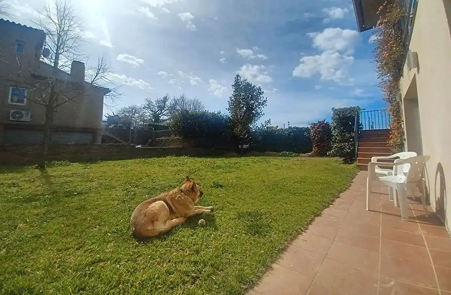 Jardí de Casa o xalet en venda en Pals amb Calefacció, Jardí privat i Terrassa