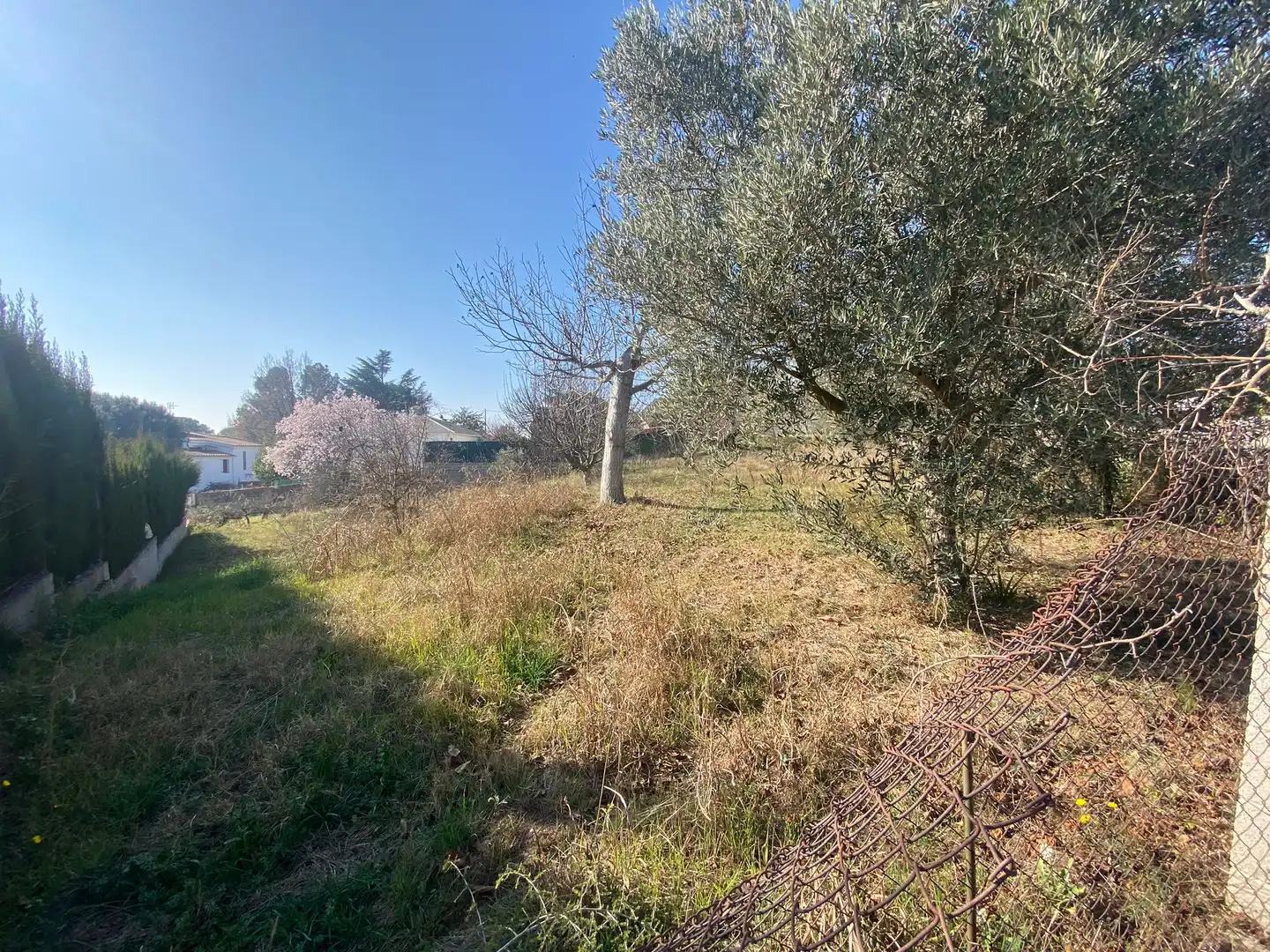 Terreny residencial en venda a Sant Antoni de Vilamajor, imagen 6