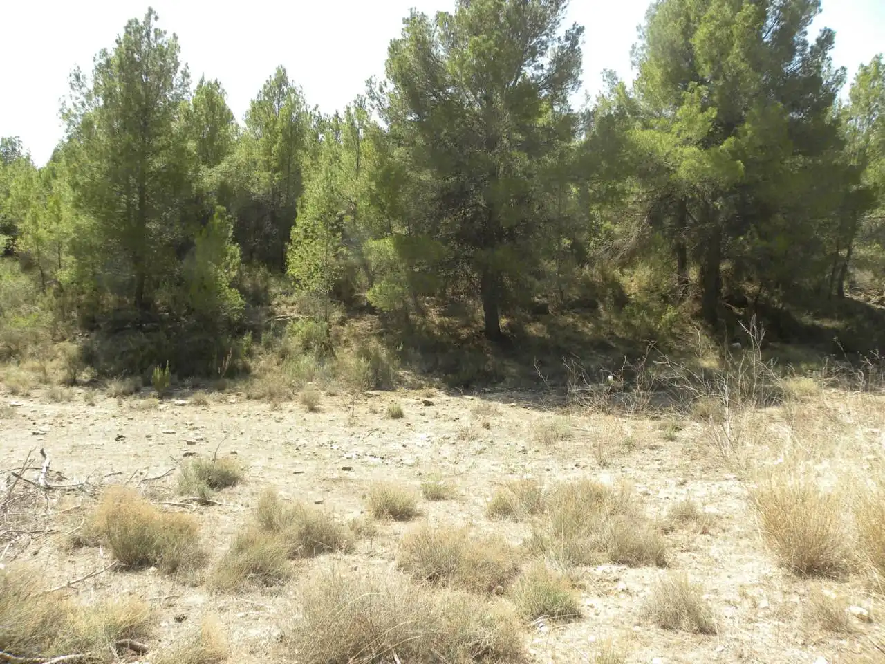 Terreno rustico in vendita a Carretera Llano de Béjar, imagen 12