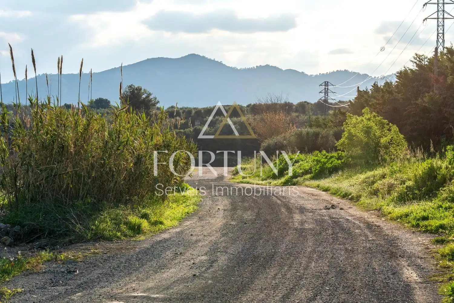 Terreno residencial en venta en T-320, imagen 27