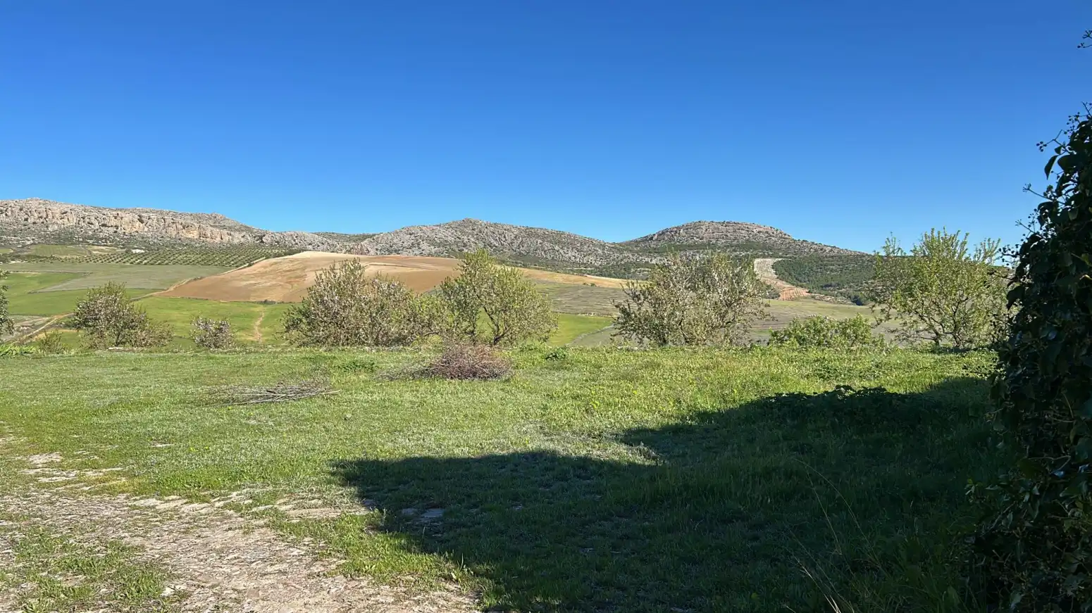 Houses for sale in Ardales