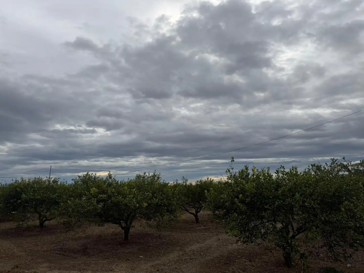 Terrain rustique à vendre à Almoradí, imagen 4