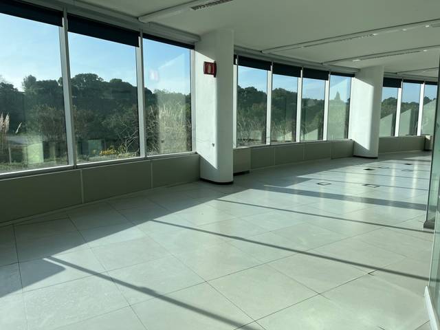 Oficina en Alquiler en Son Riera - Aeroport