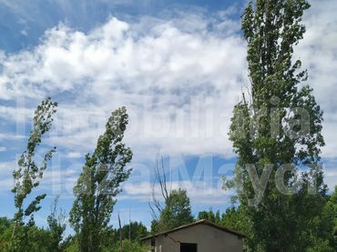 Rural land for sale in Almenara de Tormes