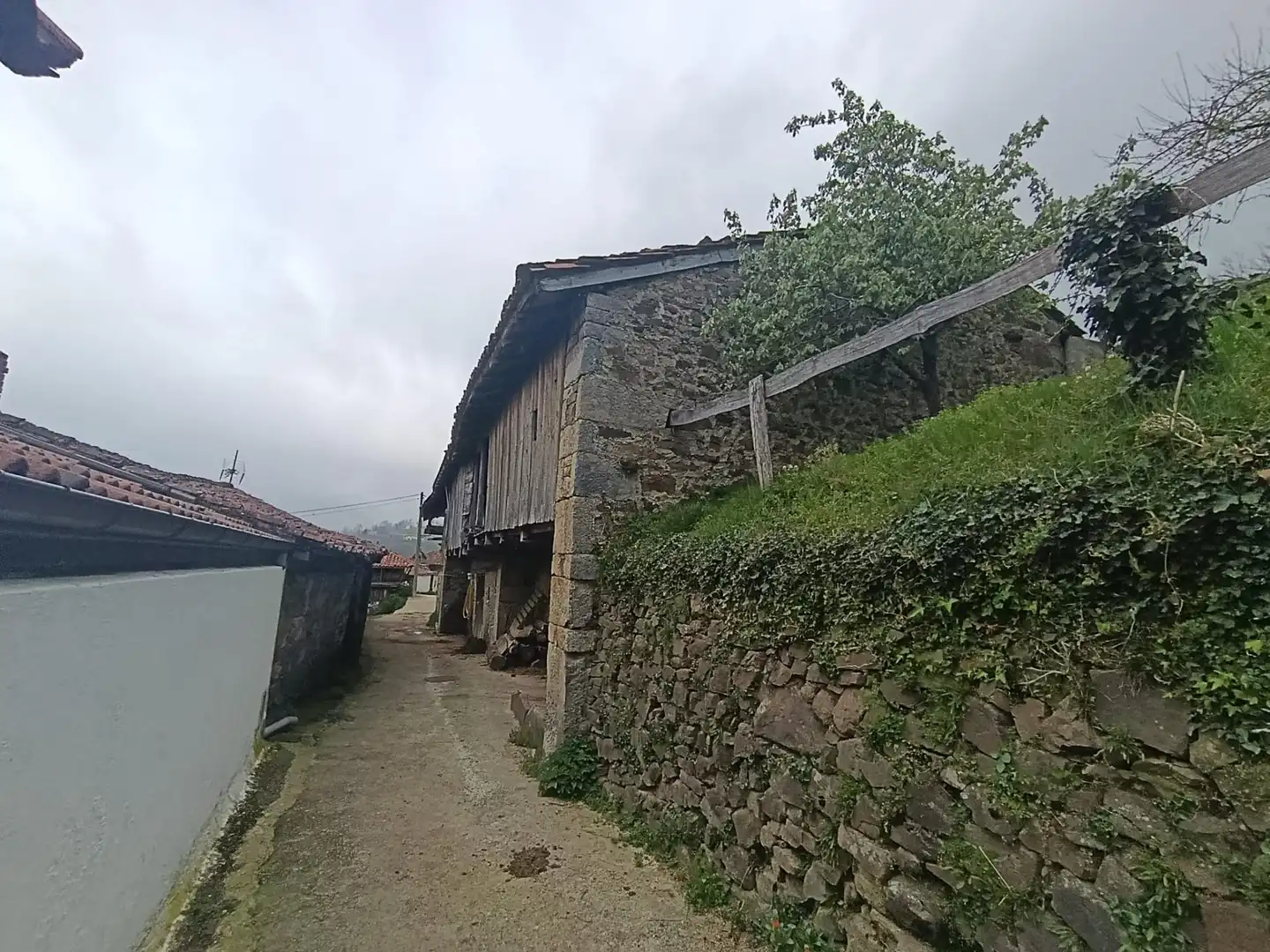 Vista exterior de Finca rústica en venta en Caso