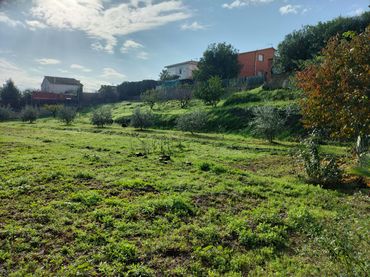 Terreno rústico en venta en Els Hostalets de Pierola