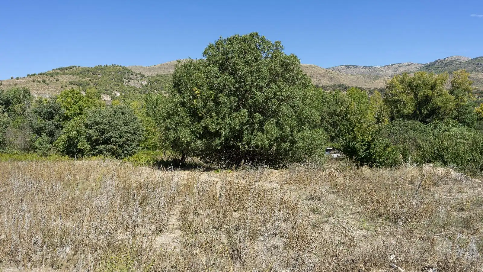Terreny rústic en venda a PAGO ACEQUIA BAJA Polígono 11 Parcela 174 11, imagen 2