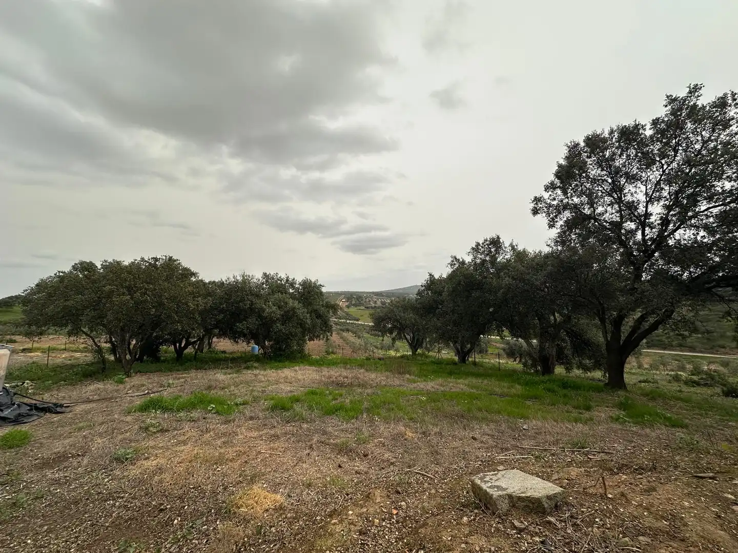 Finca rústica en venta en Oliva de Mérida