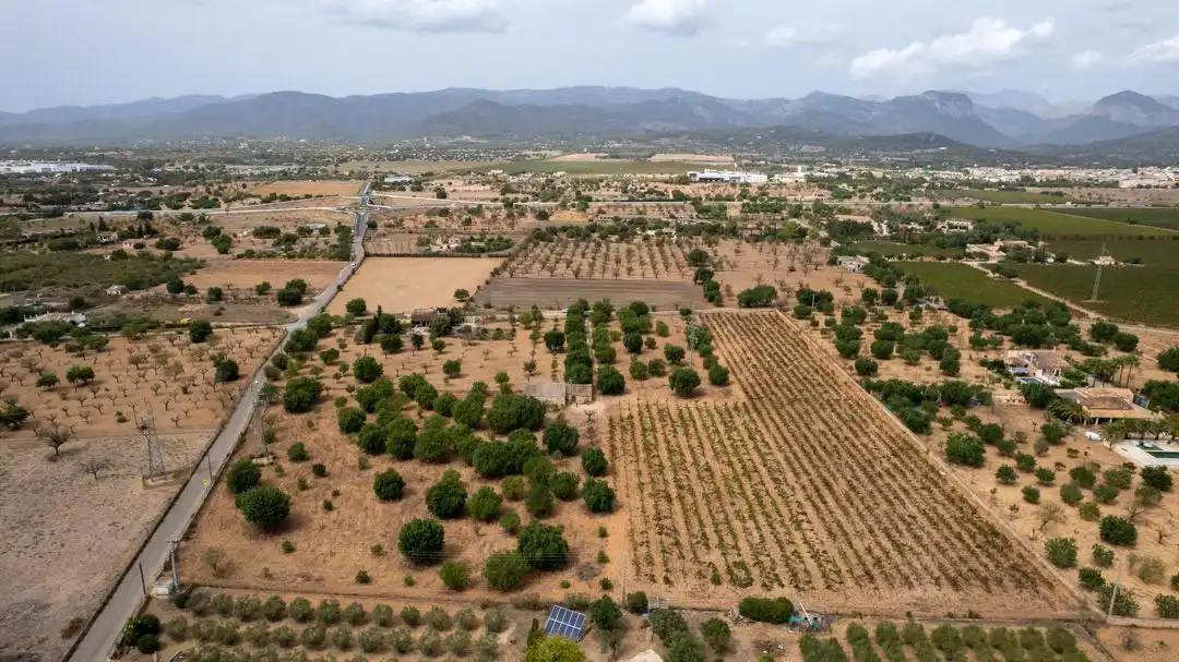 Land for sale in Consell