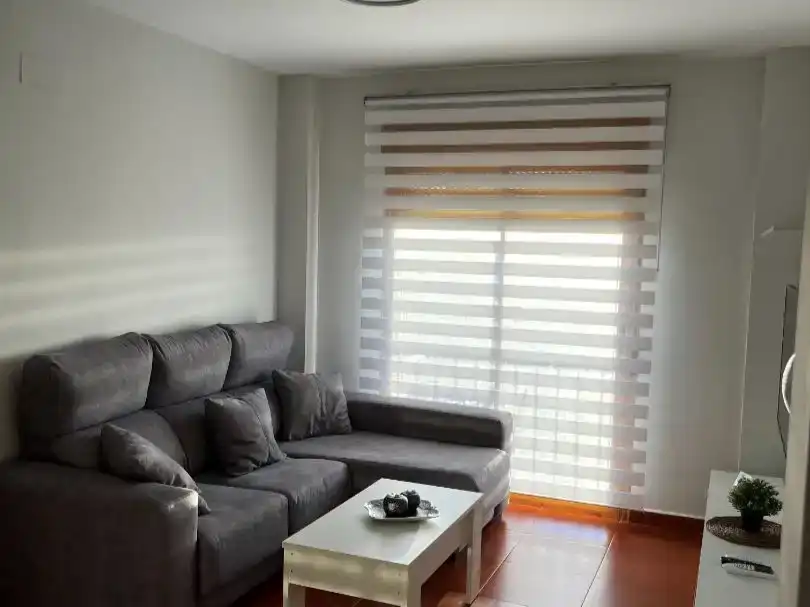 Sala d'estar de Pis en venda en Centro ciudad