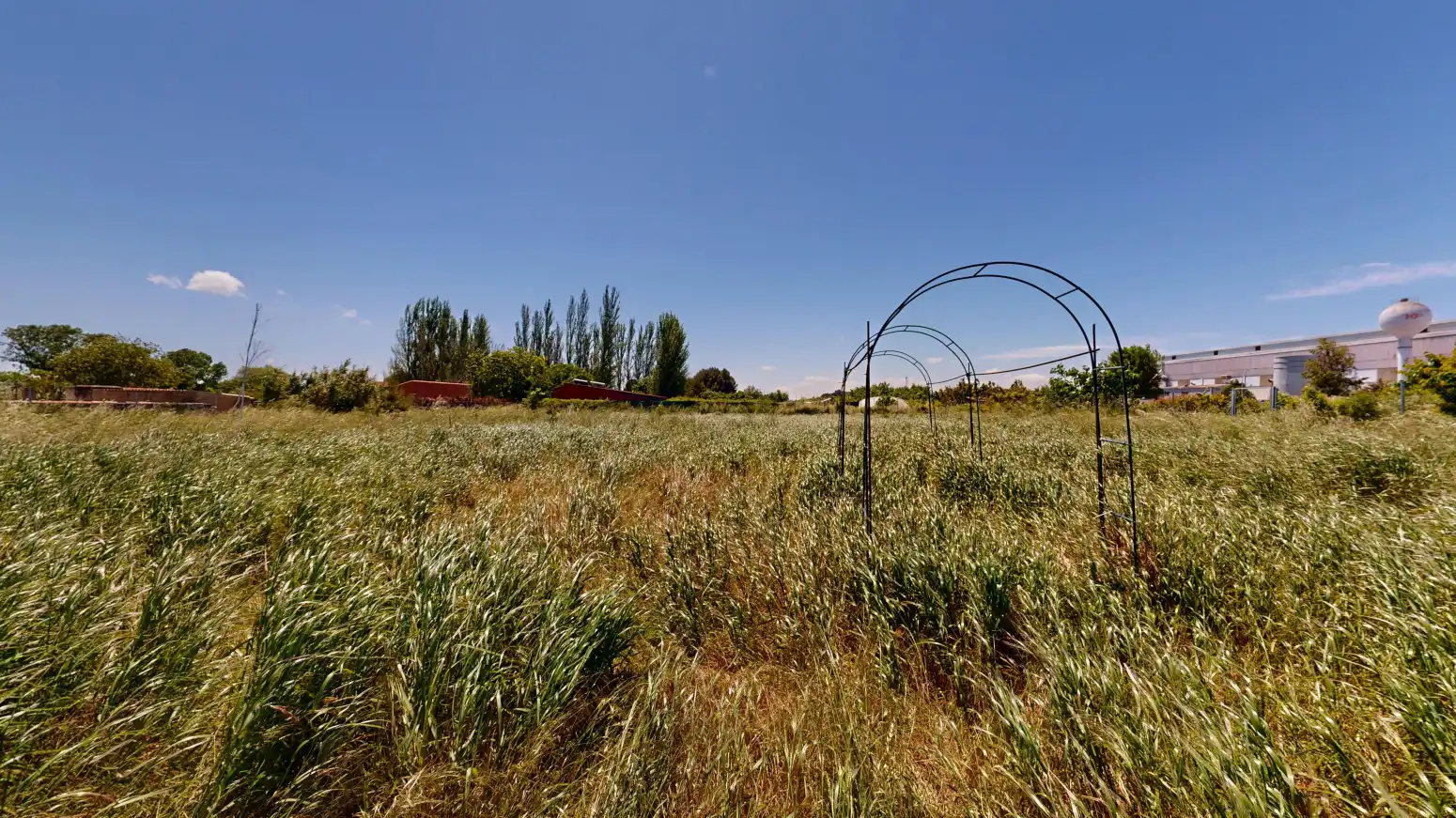 Rural land for sale in Tafalla - QUIÑON, imagen 16