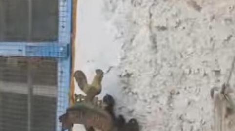 Photo 3 of Country house for sale in Valladolises y Lo Jurado, Murcia