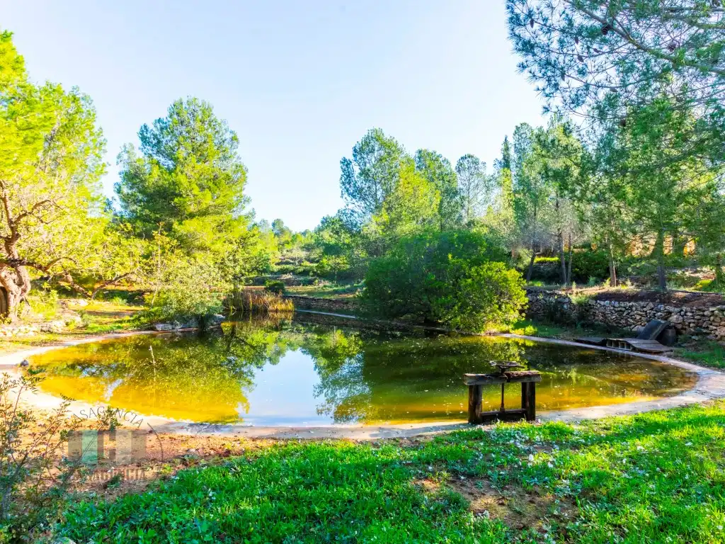 Commercial properties for sale in Calle Pedrapiquers (Dels), Borriol