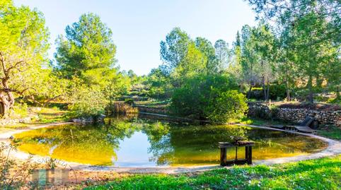 Photo 2 of Premises for sale in Calle Pedrapiquers (dels), Borriol, Castellón