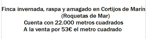 Terrain rustique à vendre à Avenida Cortijos de Marín 1