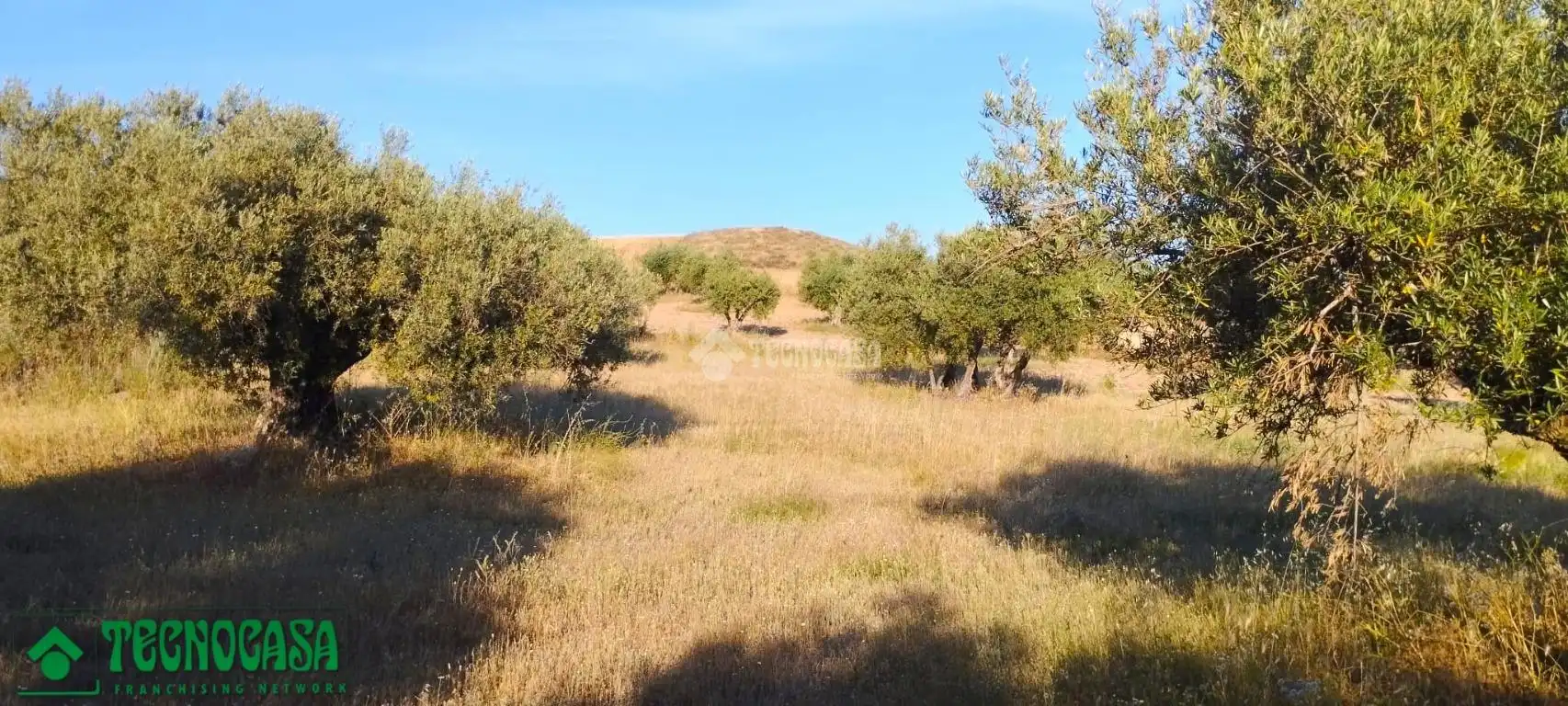 Terreni e lotti in vendita a Méntrida, imagen 16