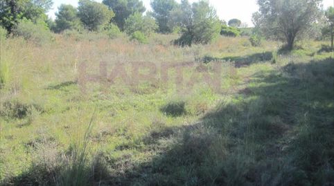 Terreno urbano en la urbanización de la Malla, la parcela consta de unos 4.722m2, parcela esquinera rectangular, gracias al desniv, imatge 3