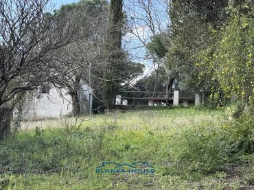 Haus mit Garten zum Verkauf in Calle Arbres 0´