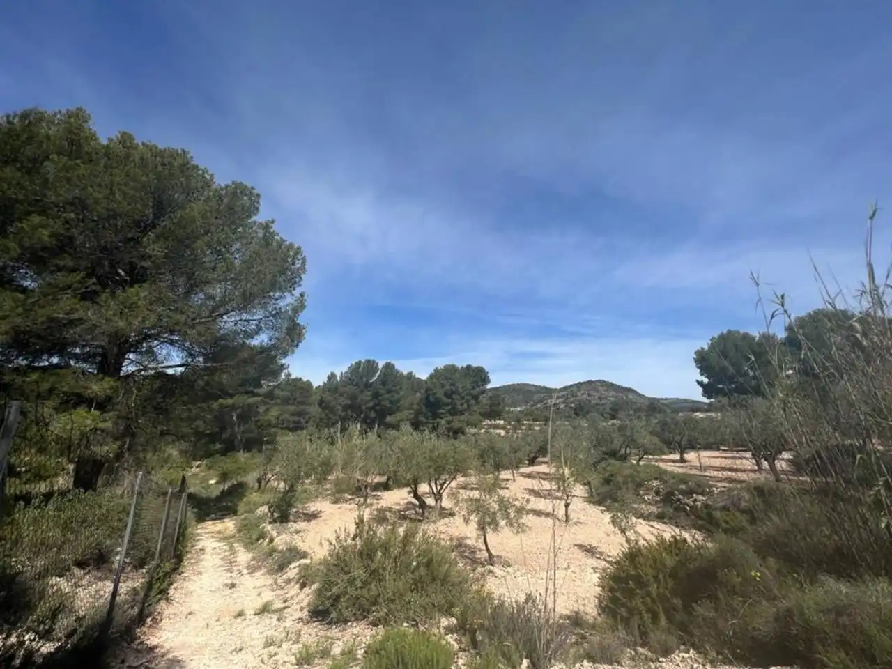 Chalet con jardín en venta en Calle Poligono, imagen 126