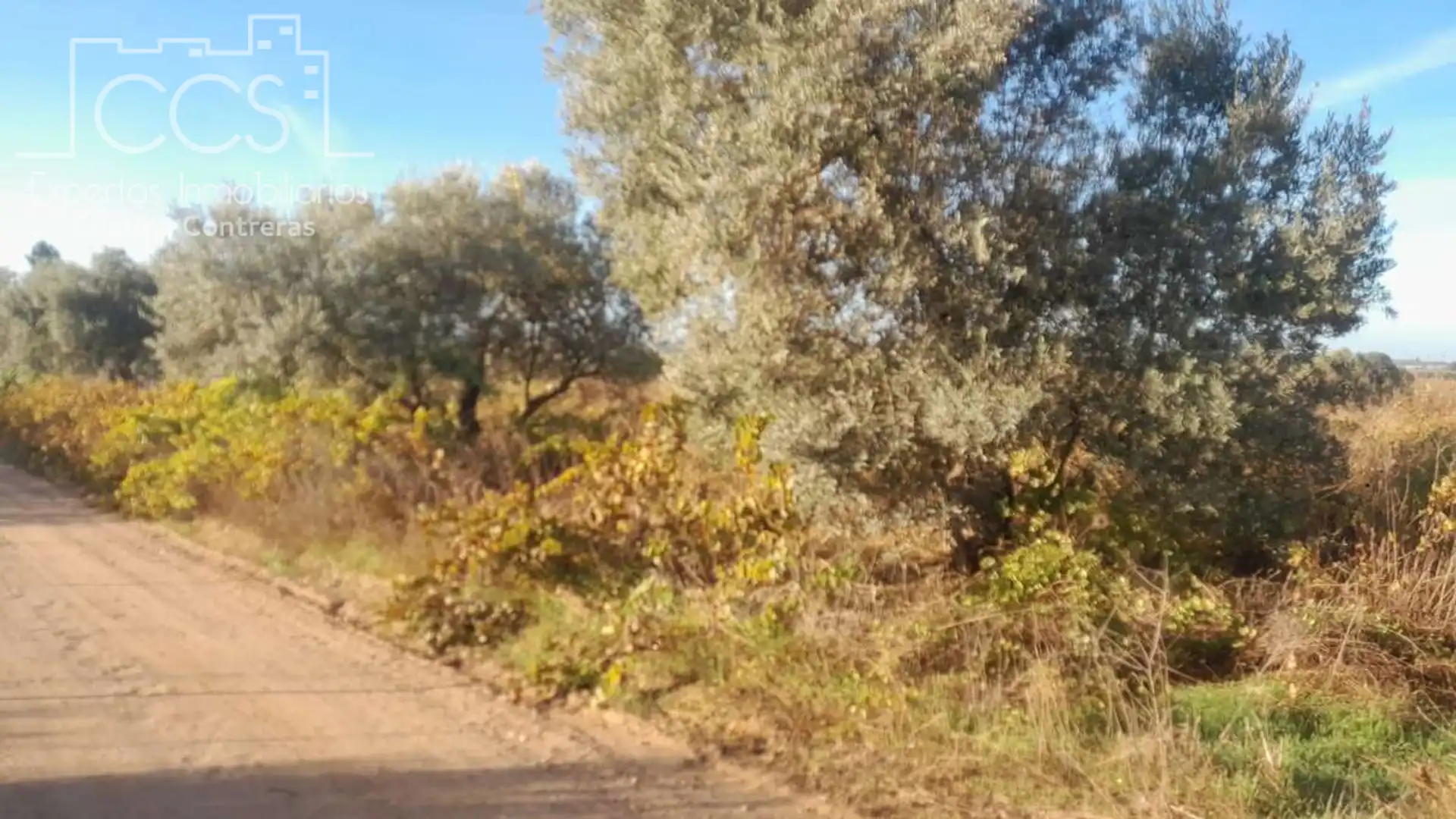 Terreno en venta en Almonte