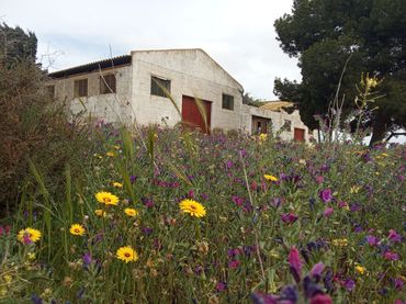 Industrial building for sale in SANTIAGO 2