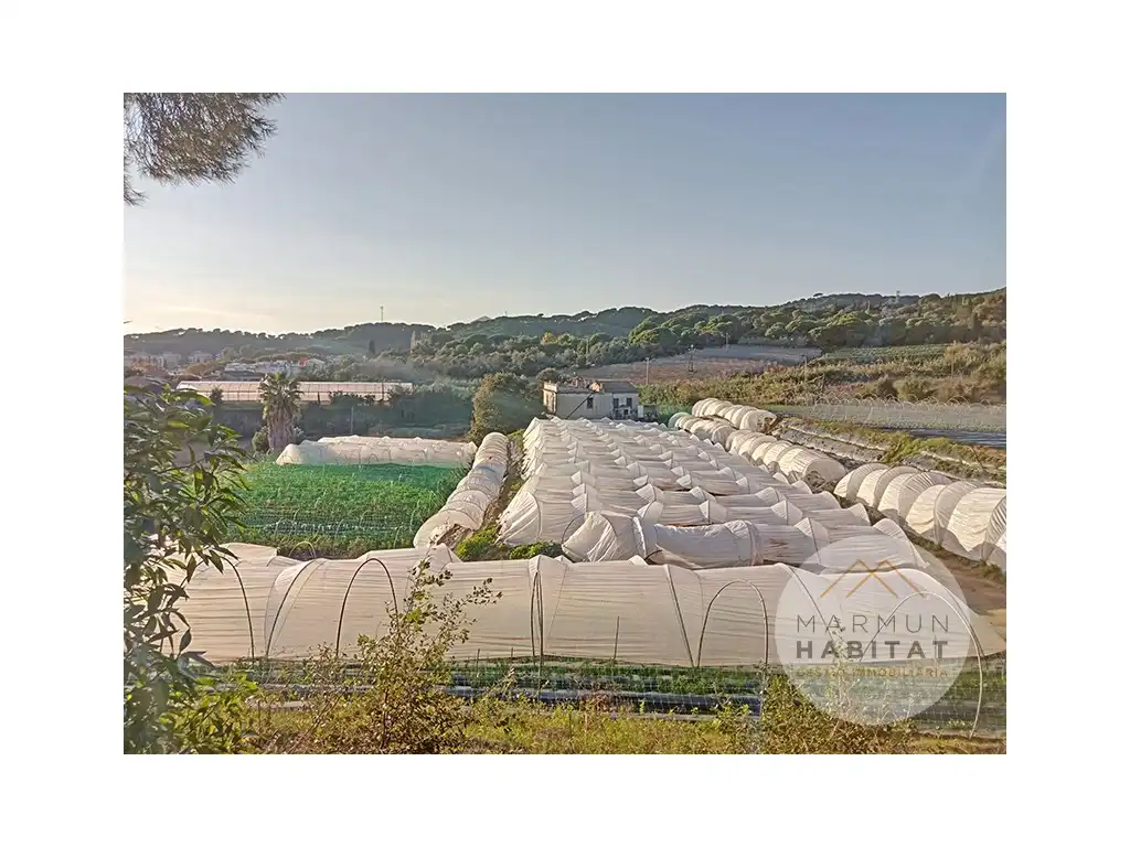 Casa rústica en venta en Sant Cebrià de Vallalta, imagen 4