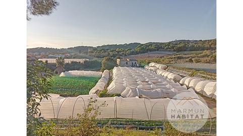 Foto 4 de Finca rústica en venda a Sant Cebrià de Vallalta, Barcelona