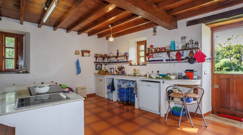 Foto 5 de Finca rústica en venta en Outeiro de Rei, Lugo