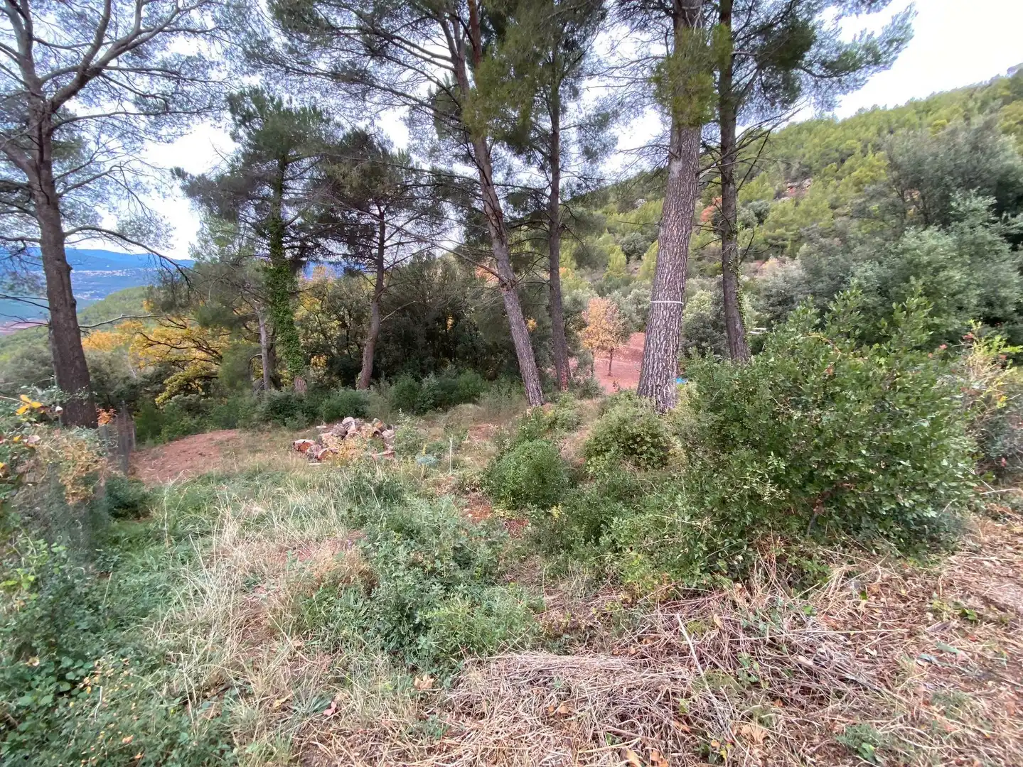 Terreno residencial en venta en L'Ametlla del Vallès, imagen 5