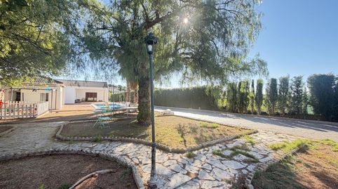 Photo 5 of Houses for sale in Vereda de Cuéllar, Almendralejo, Badajoz