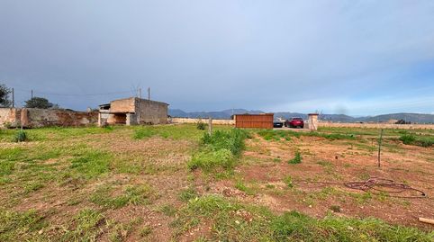 Finca edificable de 23.000 m2 entre Sa Pobla y Muro con vistas