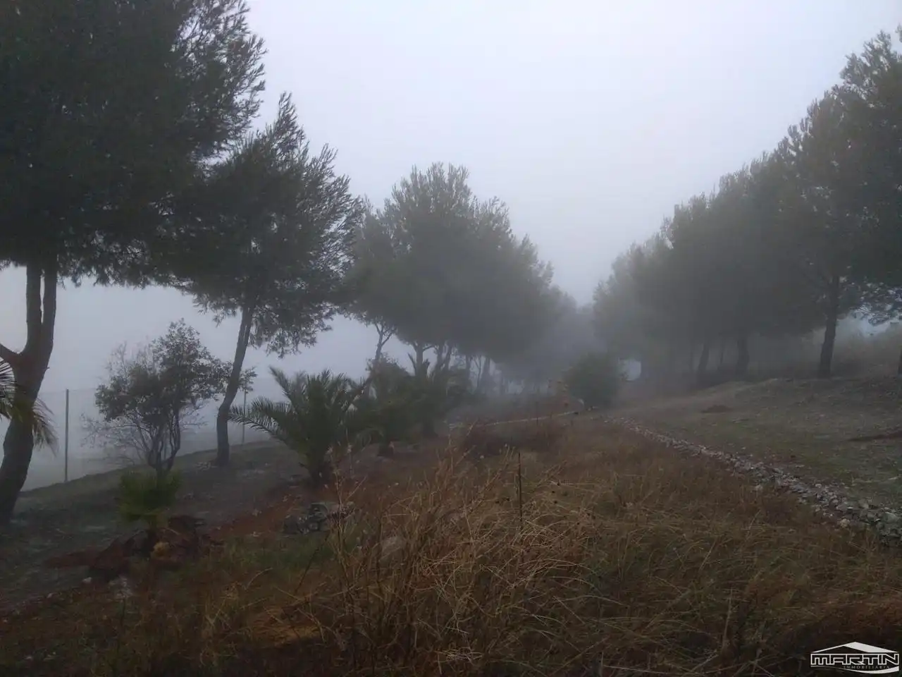 Terrenos y solares en venta en Cerro San Cristóbal, imagen 15