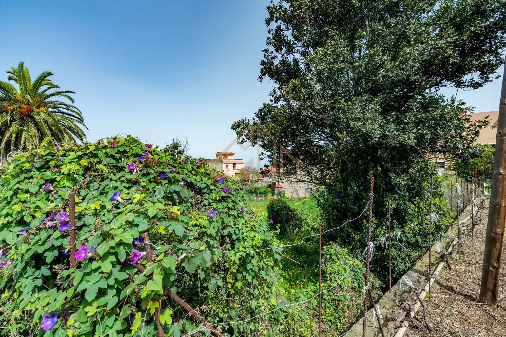 Jardí de Finca rústica en venda en La Victoria de Acentejo