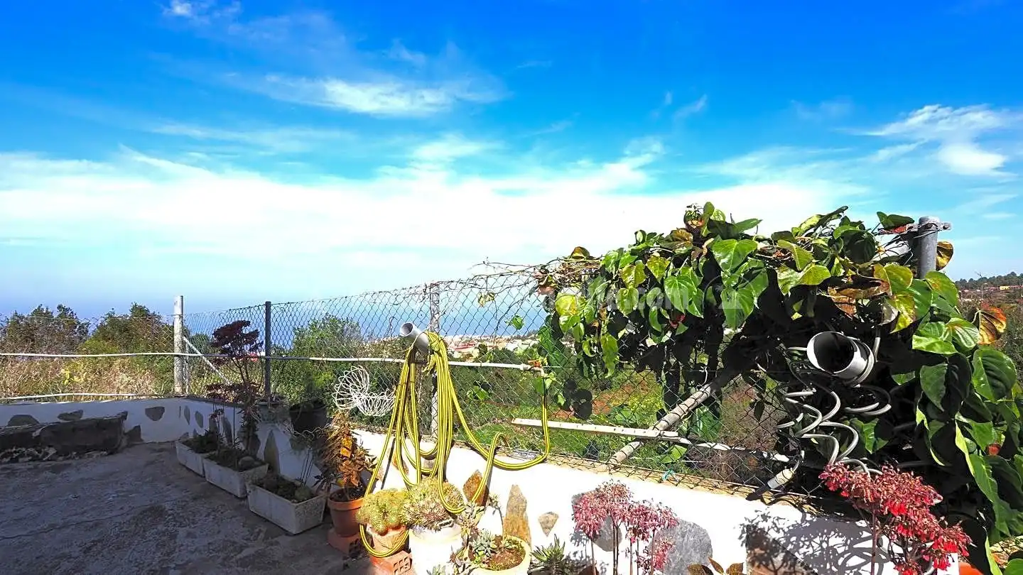 Maison rustique avec terrasse à vendre à La Vega - El Amparo - Cueva del Viento, imagen 6