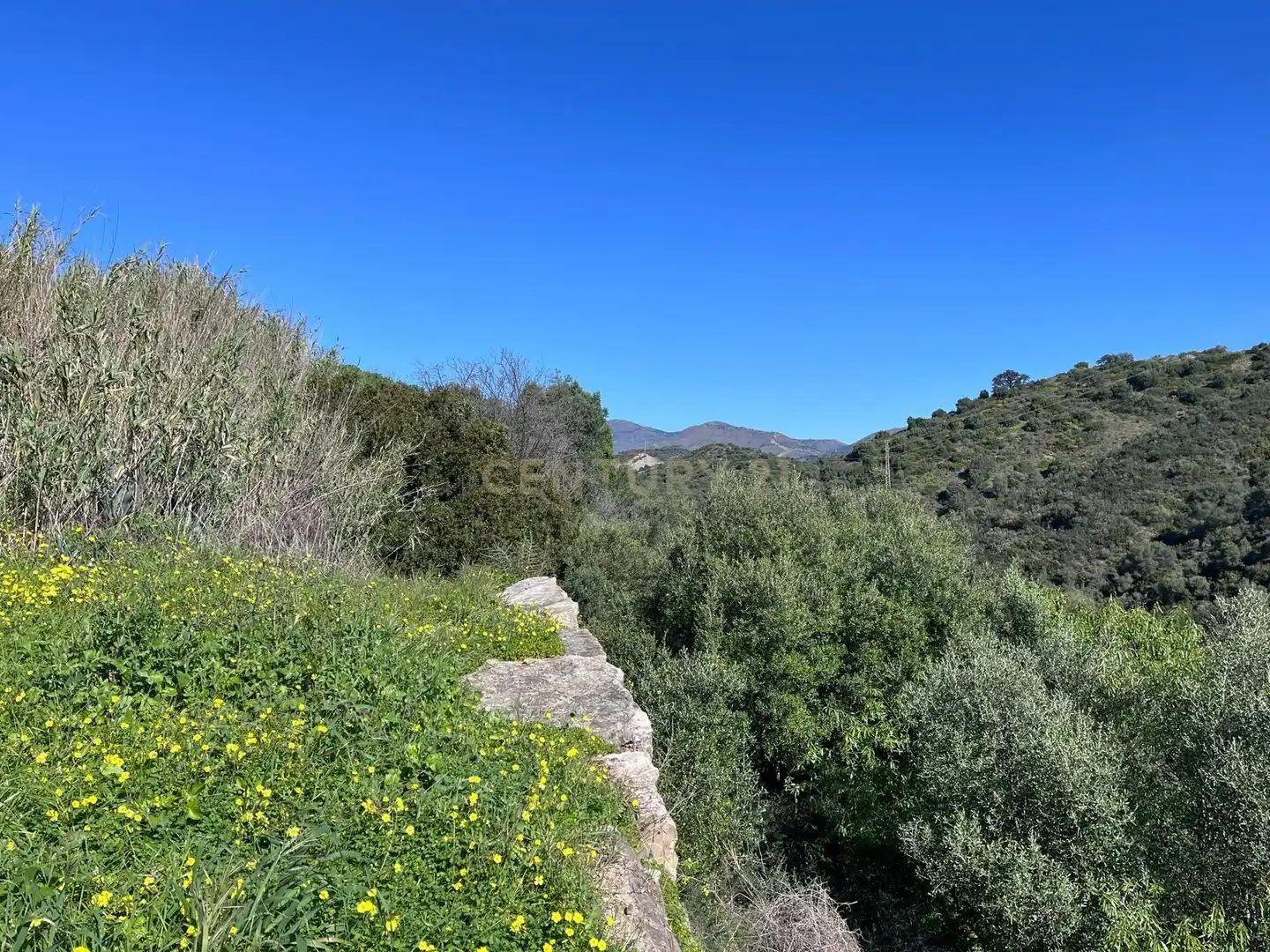 Residential for sale in Estepona