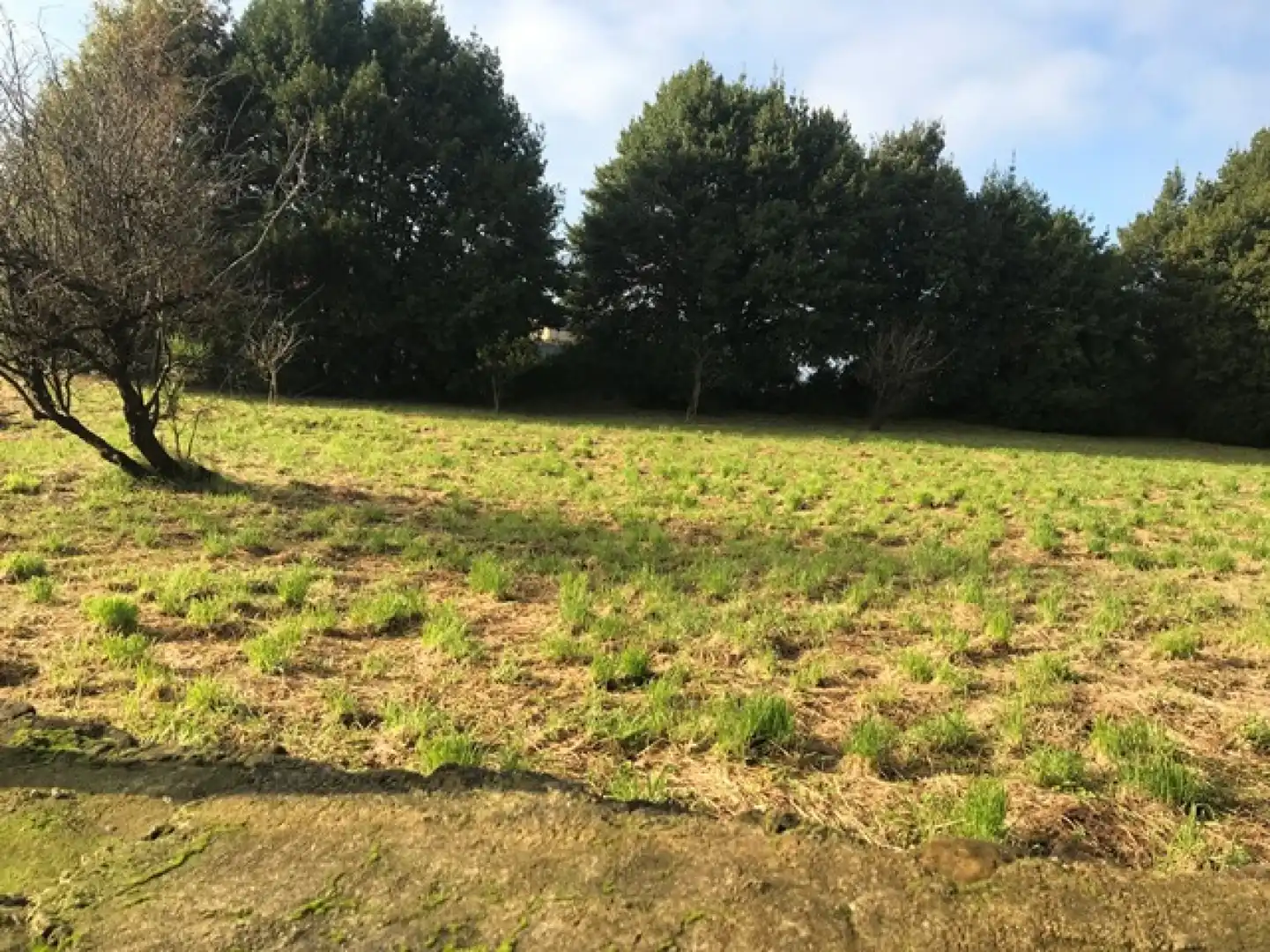 Terreno residenziale in vendita a Verdicio - Bañugues - Cabo Peña, imagen 5