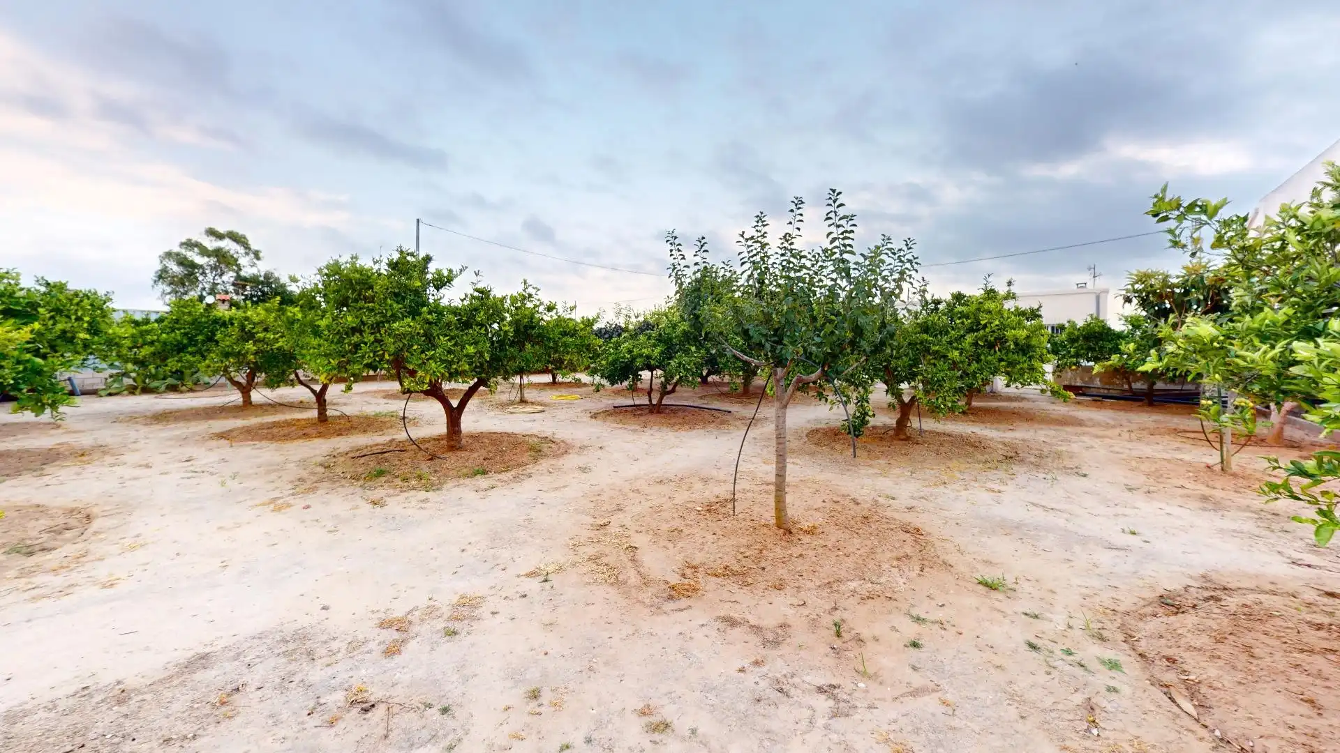 Villa avec jardin à vendre à Polígono 9 9562, imagen 31
